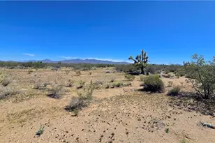 5558 E Red Barrel Rd, Yucca, AZ 86438 - Photo 43