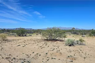 5558 E Red Barrel Rd, Yucca, AZ 86438 - Photo 41