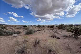 Lot 102 W Horizon Rd, Dolan Springs, AZ 86441 - Photo 1