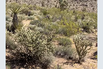 0000 Channel Drive #2023, Meadview, AZ 86444 - Photo 3