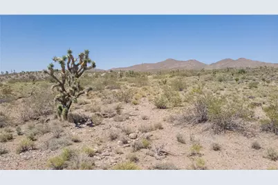 8255 Santa Cruz Drive, White Hills, AZ 86445 - Photo 9