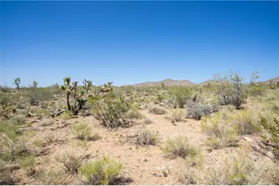 8255 Santa Cruz Drive, White Hills, AZ 86445 - Photo 13