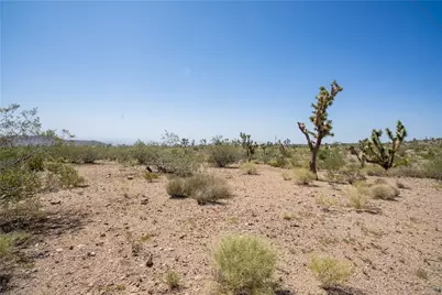 8255 Santa Cruz Drive, White Hills, AZ 86445 - Photo 17