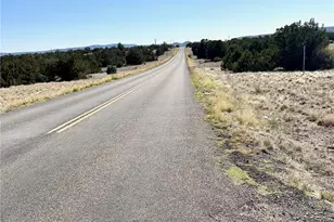 26915 W El Dorado Dr, Seligman, AZ 86337 - Photo 31