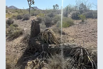 8124 Rio Vista Drive, White Hills, AZ 86445 - Photo 11