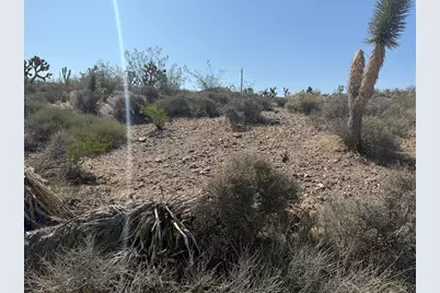 8124 Rio Vista Drive, White Hills, AZ 86445 - Photo 5