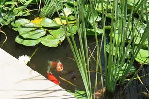 1720 N Clack Canyon Rd, Kingman, AZ 86409 - Photo 33