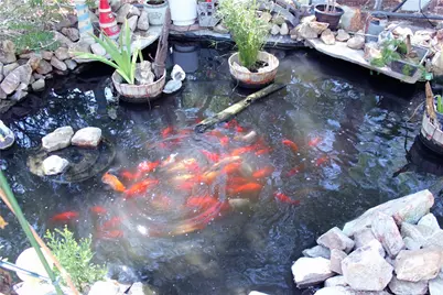 519 Stahlman Drive, Bullhead City, AZ 86442 - Photo 5