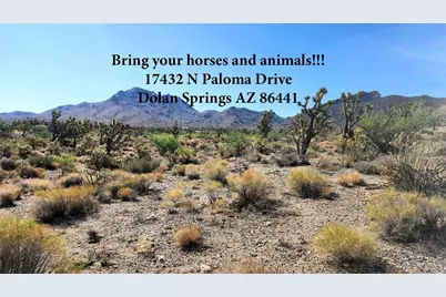 17432 N Paloma Drive, Dolan Springs, AZ 86441 - Photo 1
