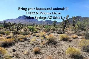 17432 N Paloma Dr, Dolan Springs, AZ 86441 - Photo 1