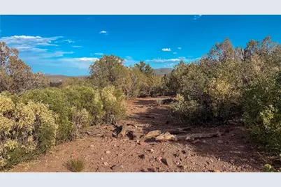 176 N Willows Ranch Rd Road, Kingman, AZ 86401 - Photo 39