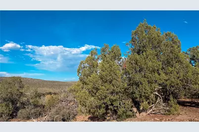 176 N Willows Ranch Rd Road, Kingman, AZ 86401 - Photo 41