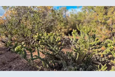 176 N Willows Ranch Rd Road, Kingman, AZ 86401 - Photo 37