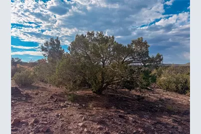 176 N Willows Ranch Rd Road, Kingman, AZ 86401 - Photo 21