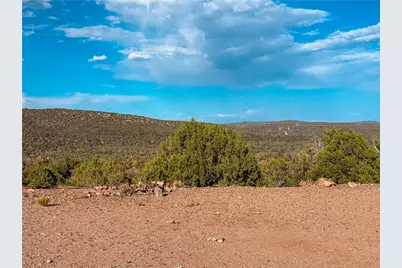 176 N Willows Ranch Rd Road, Kingman, AZ 86401 - Photo 29