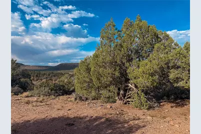 176 N Willows Ranch Rd Road, Kingman, AZ 86401 - Photo 25