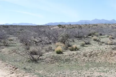 020 E Purple Rose Lane, Kingman, AZ 86401 - Photo 3