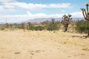 18677 N Remuda Dr, Dolan Springs, AZ 86441 - Photo 25