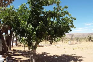 18677 N Remuda Dr, Dolan Springs, AZ 86441 - Photo 13