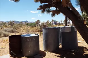 18677 N Remuda Dr, Dolan Springs, AZ 86441 - Photo 23