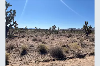 327-03-384 N Pueblo Road, Dolan Springs, AZ 86441 - Photo 13