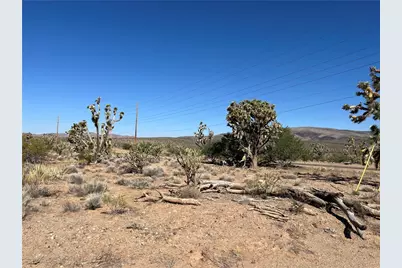 000 N Pueblo Road, Dolan Springs, AZ 86441 - Photo 15