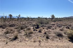 000 N Pueblo Rd, Dolan Springs, AZ 86441 - Photo 1