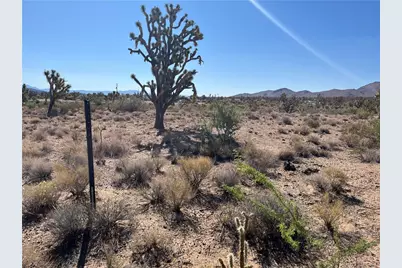 327-03-384 N Pueblo Road, Dolan Springs, AZ 86441 - Photo 19