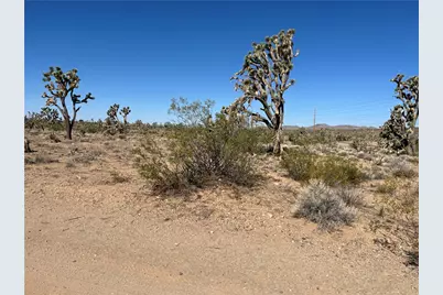 327-03-384 N Pueblo Road, Dolan Springs, AZ 86441 - Photo 9