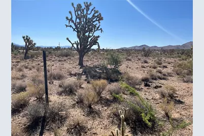 000 N Pueblo Road, Dolan Springs, AZ 86441 - Photo 19