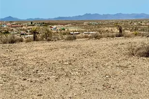 800 Frazier Ln, Meadview, AZ 86444 - Photo 1