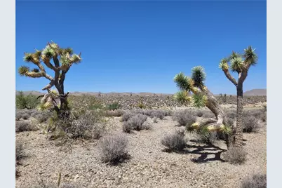 27150 N Pierce Ferry Road, Meadview, AZ 86444 - Photo 5