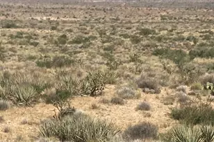 6989 N Horse Mesa Rd, Golden Valley, AZ 86413 - Photo 1