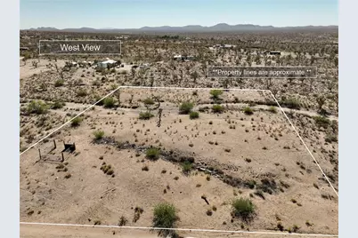 Lot 239 N Palo Verde Drive, Dolan Springs, AZ 86441 - Photo 5