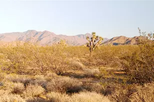 3501 Wild Bill Rd, Yucca, AZ 86438 - Photo 1