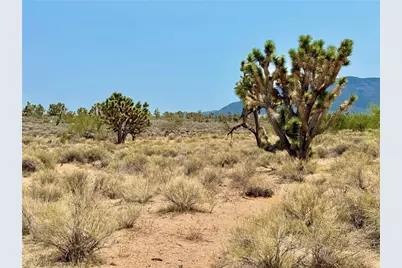 26681 Yucca Road, Meadview, AZ 86444 - Photo 11