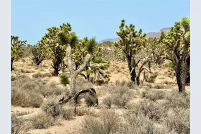 26681 Yucca Road, Meadview, AZ 86444 - Photo 25