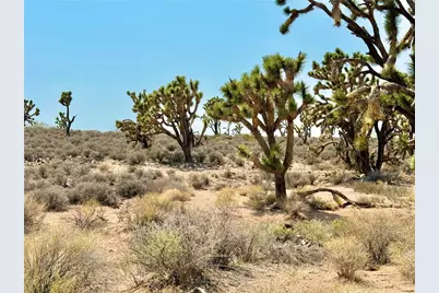 26681 Yucca Road, Meadview, AZ 86444 - Photo 7