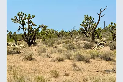 26681 Yucca Road, Meadview, AZ 86444 - Photo 9