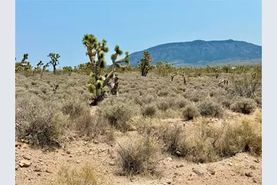 26681 Yucca Road, Meadview, AZ 86444 - Photo 5