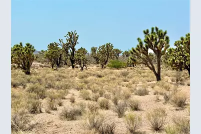 26681 Yucca Road, Meadview, AZ 86444 - Photo 17