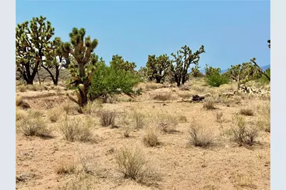 26681 Yucca Road, Meadview, AZ 86444 - Photo 21