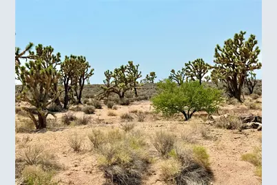 26681 Yucca Road, Meadview, AZ 86444 - Photo 13