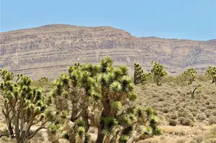 26681 Yucca Rd, Meadview, AZ 86444 - Photo 1