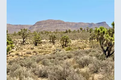 26681 Yucca Road, Meadview, AZ 86444 - Photo 23