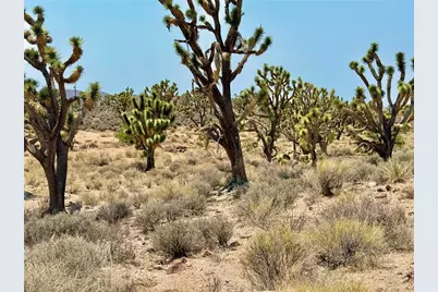 26681 Yucca Road, Meadview, AZ 86444 - Photo 15