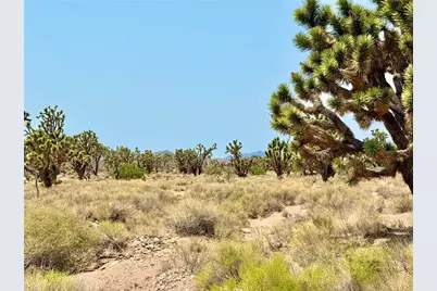 26681 Yucca Road, Meadview, AZ 86444 - Photo 19