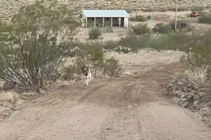 6323 N Cottontail Trail, Kingman, AZ 86409 - Photo 53