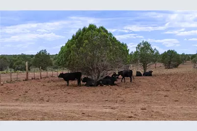 44050 W Fort Rock Road, Seligman, AZ 86337 - Photo 31