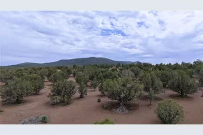 44050 W Fort Rock Road, Seligman, AZ 86337 - Photo 29